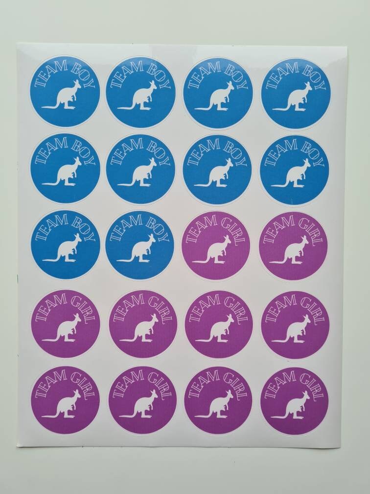 Glossy team girl team boy stickers, 20 per sheet, gender reveal, gender reveal ideas, baby girl, baby boy, party stickers, baby stickers