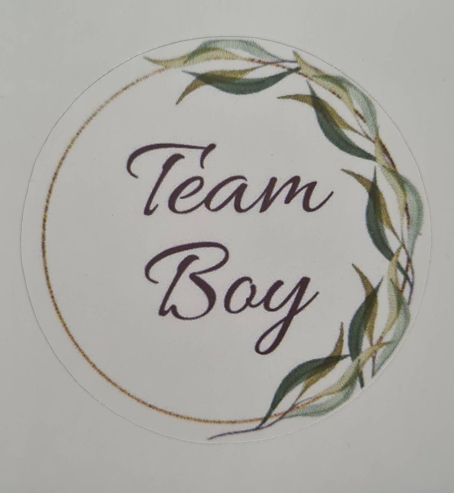 Glossy team girl team boy stickers, 20 per sheet, gender reveal, gender reveal ideas, baby girl, baby boy, party stickers, baby stickers