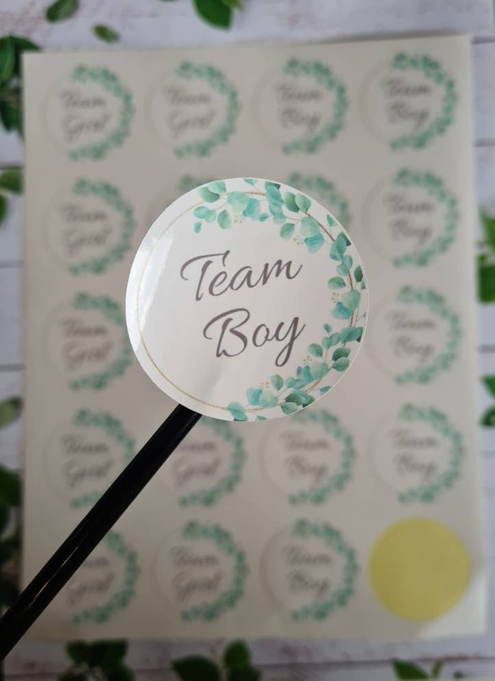 Glossy team girl team boy stickers, 20 per sheet, gender reveal, gender reveal ideas, baby girl, baby boy, party stickers, baby stickers