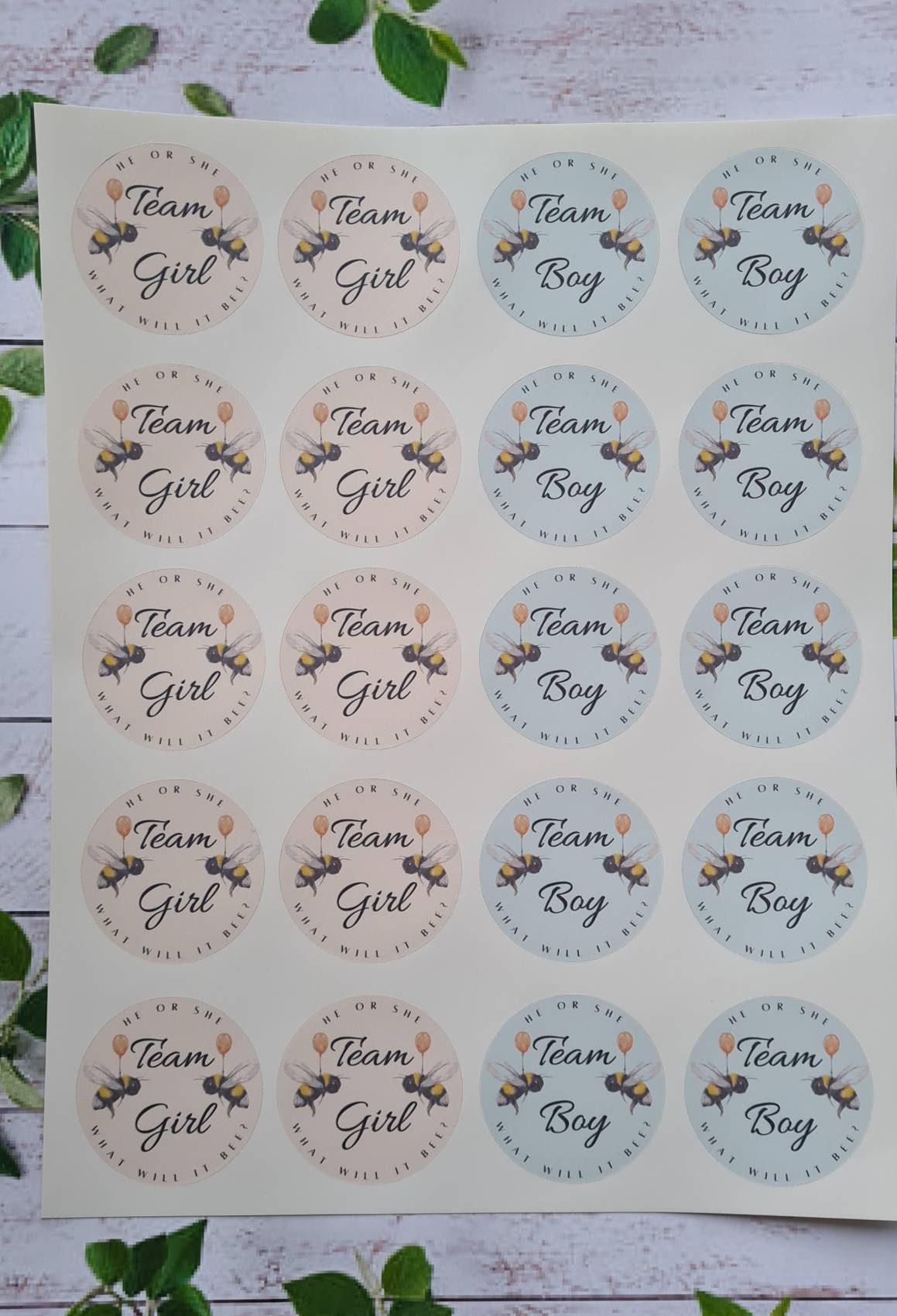 Glossy bee team girl team boy stickers, 20 per sheet, gender reveal, gender reveal ideas, baby girl, baby boy, party stickers, baby stickers