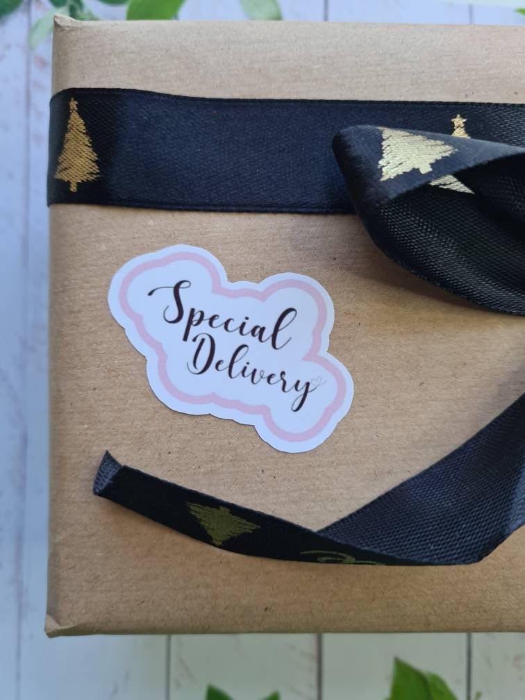 Special delivery stickers, small business, stationery, postal stickers, cute stickers,