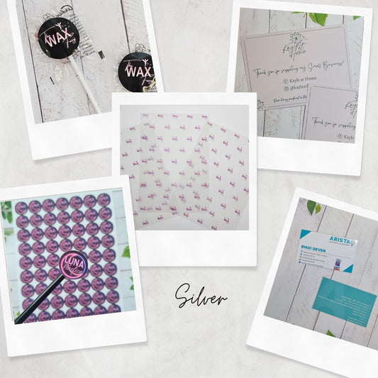 Silver Business in a Box Subscription