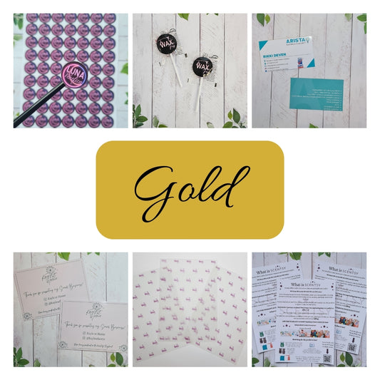 Gold Business in a Box Subscription