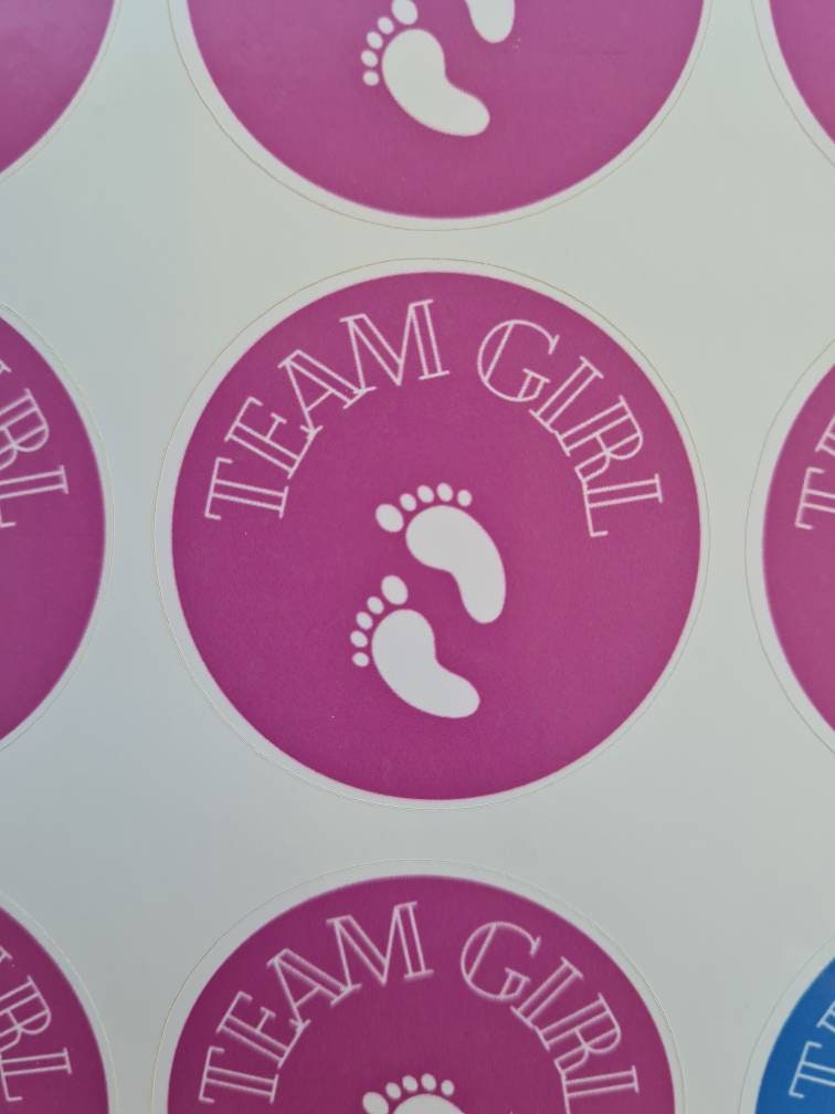 Glossy team girl team boy stickers, 20 per sheet, gender reveal, gender reveal ideas, baby girl, baby boy, party stickers, baby stickers