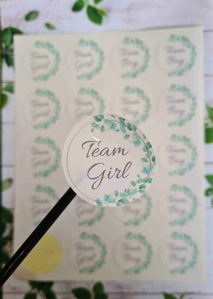 Glossy team girl team boy stickers, 20 per sheet, gender reveal, gender reveal ideas, baby girl, baby boy, party stickers, baby stickers