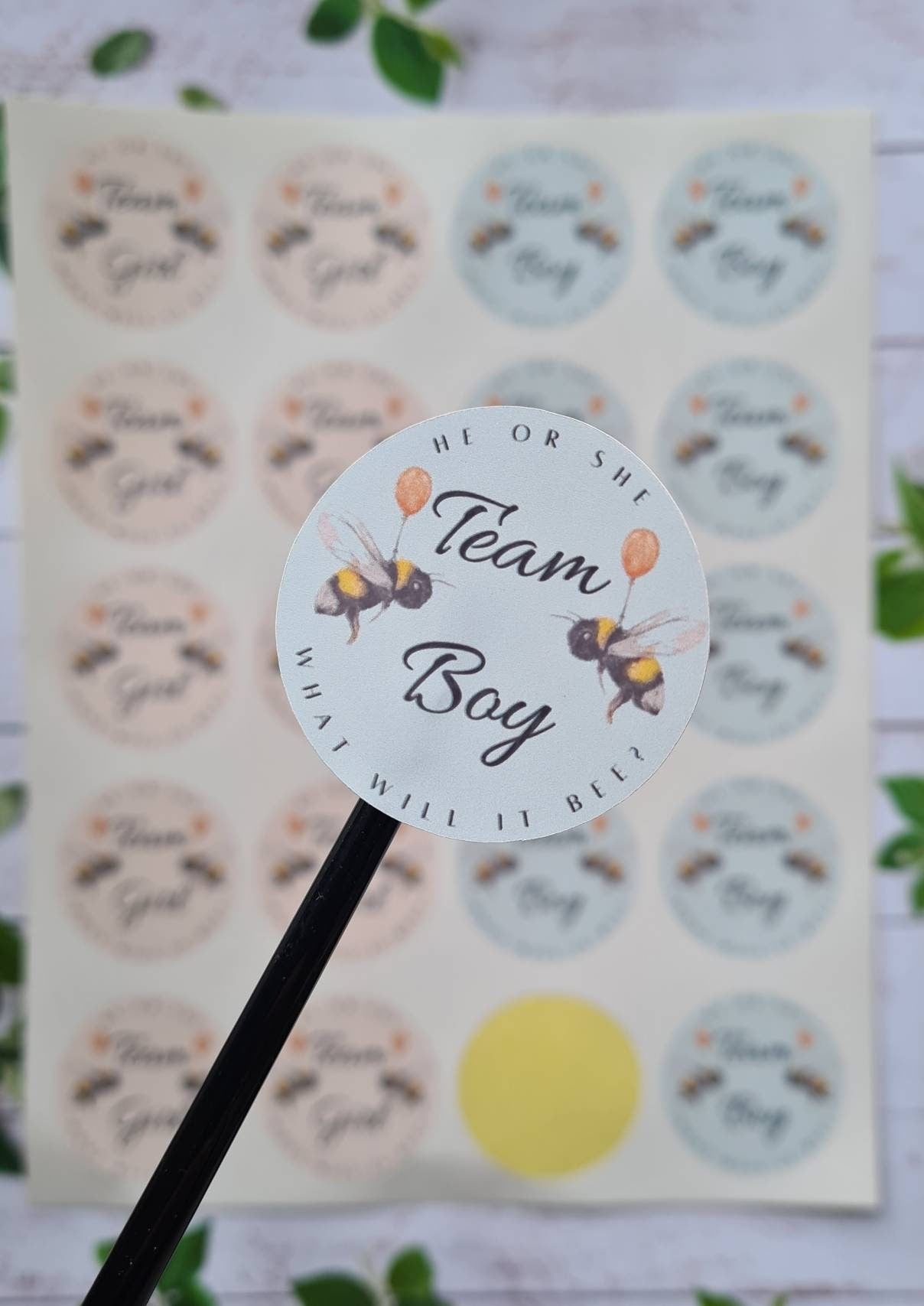 Glossy team girl team boy stickers, 20 per sheet, gender reveal, gender reveal ideas, baby girl, baby boy, party stickers, baby stickers
