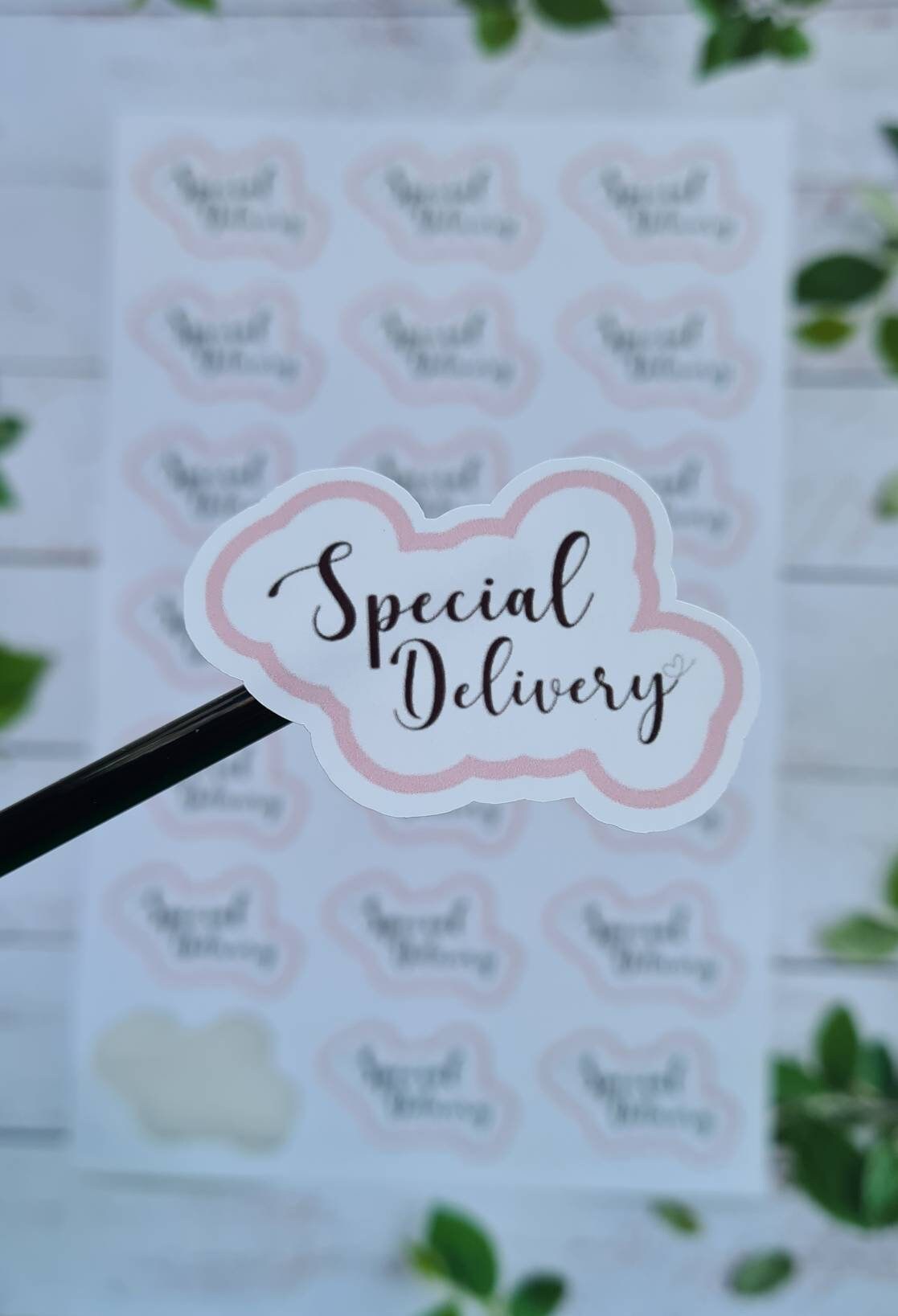 Special delivery stickers, small business, stationery, postal stickers, cute stickers,