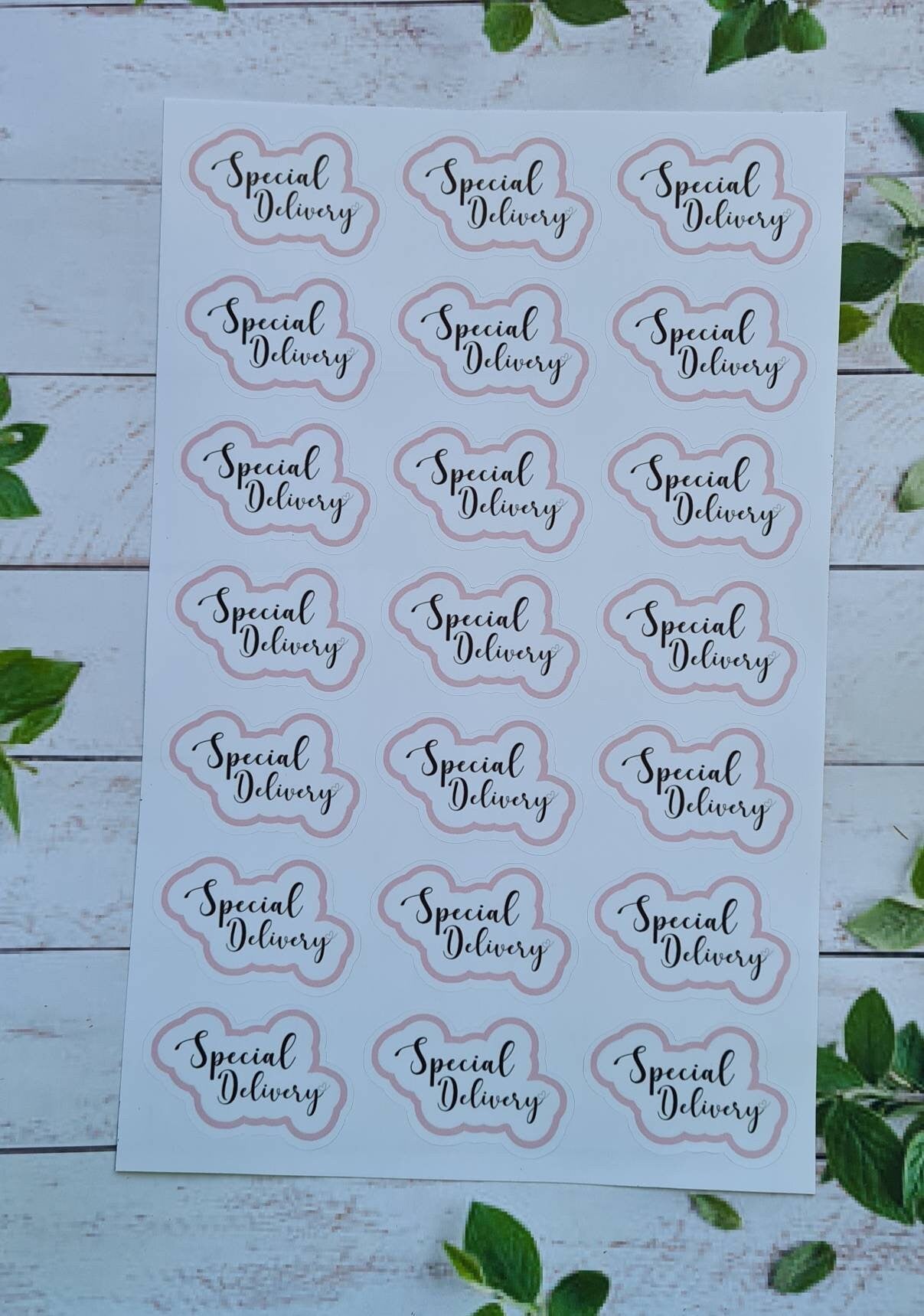 Special delivery stickers, small business, stationery, postal stickers, cute stickers,